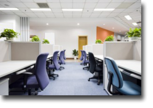 Commercial cleaning Auckland